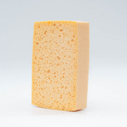 gąbka